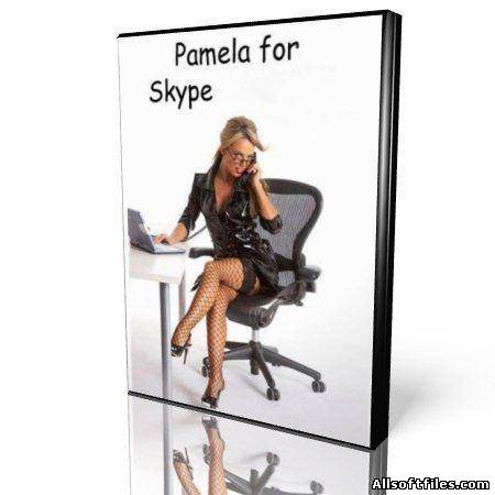 Pamela for Skype Basic 4.8.0.60